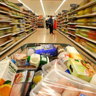 کالابرگ مرحله دوم با برداشت 4 میلیون از پانزدهم بهمن آغاز میشود