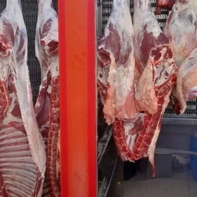 کاهش چشمگیر قیمت گوشت قرمز در بازار امروز؛ گوسفندی به حدود ۱٬۳۰۰ تا ۱٬۴۰۰ هزار تومان رسید