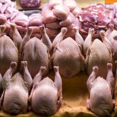 قیمت مرغ ارزان شد؛ اعلام قیمت جدید توسط وزارت جهادکشاورزی