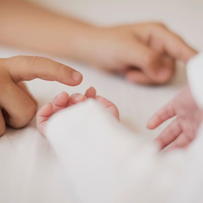 1771855213384m938g5262jh2g9rfnk3tr21mt3