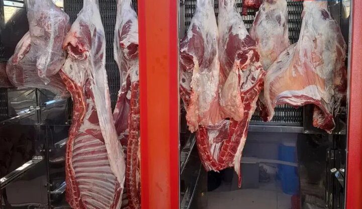 گوشت به وفور موجود است/ نیازی به استفاده از ذخایر استراتژیک نیست - تصویر