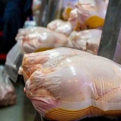 ارسال بیش از ۲ میلیون کیلو مرغ از مازندران به تهران