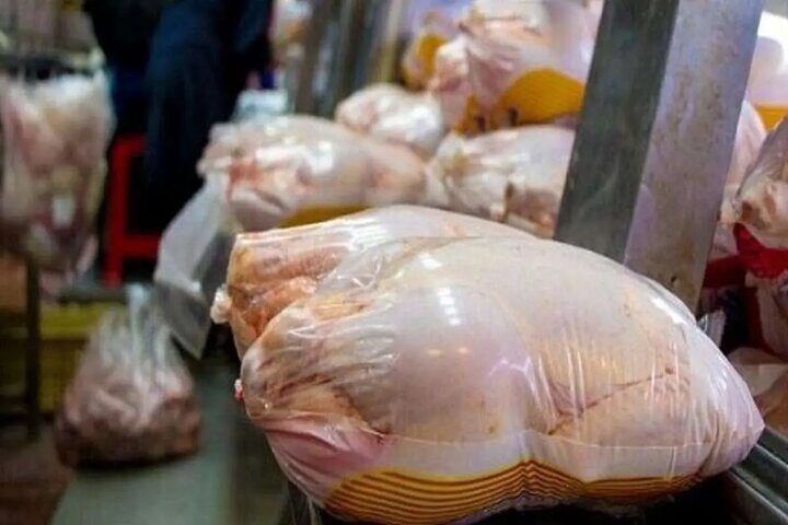 ارسال بیش از ۲ میلیون کیلو مرغ از مازندران به تهران - تصویر