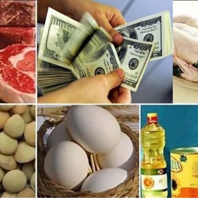 قیمت جدید کالاهای اساسی اعلام شد/ هر شانه تخممرغ بین ۴۱۰ تا ۴۸۰ هزار تومان در حال فروش است + جدول قیمتها