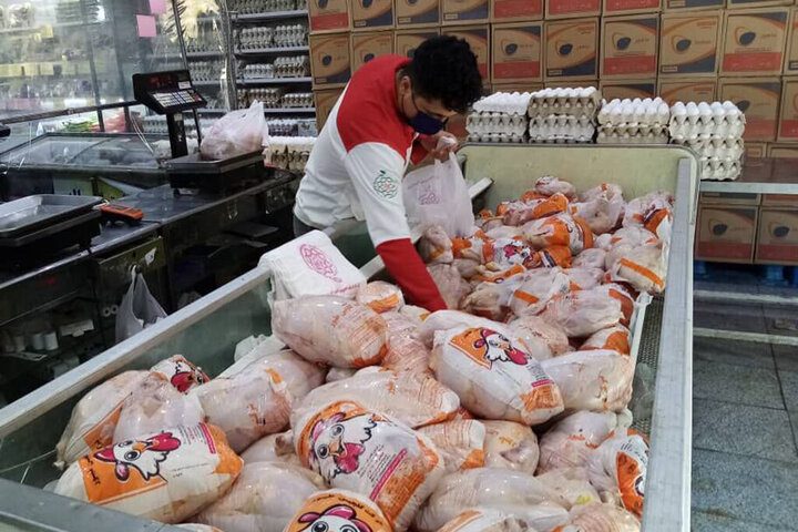 کاهش چشمگیر قیمت تخم مرغ در بازار/ کاشانی: تخم‌مرغ این‌گونه ۵۰ درصد ارزان‌تر فروخته می‌شود - تصویر