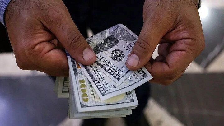 چه کسانی مانع کاهش قیمت ارز میشوند؟ - تصویر