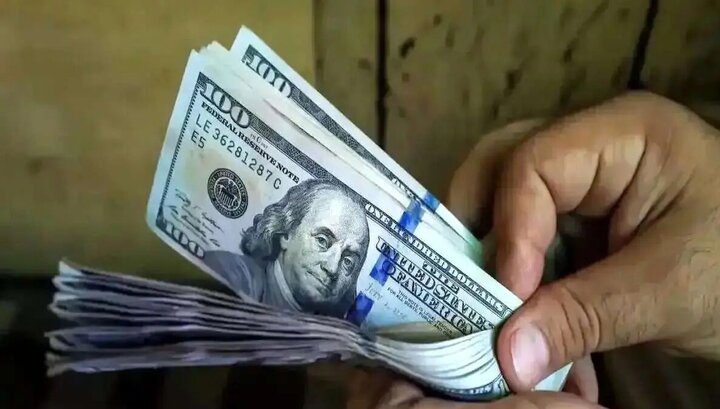انتقاد از ارزپاشی اخیر برای کاهش قیمت دلار/ قبلا هم این کار را تجربه کرده اید و نتیجه اش را دیده اید - تصویر