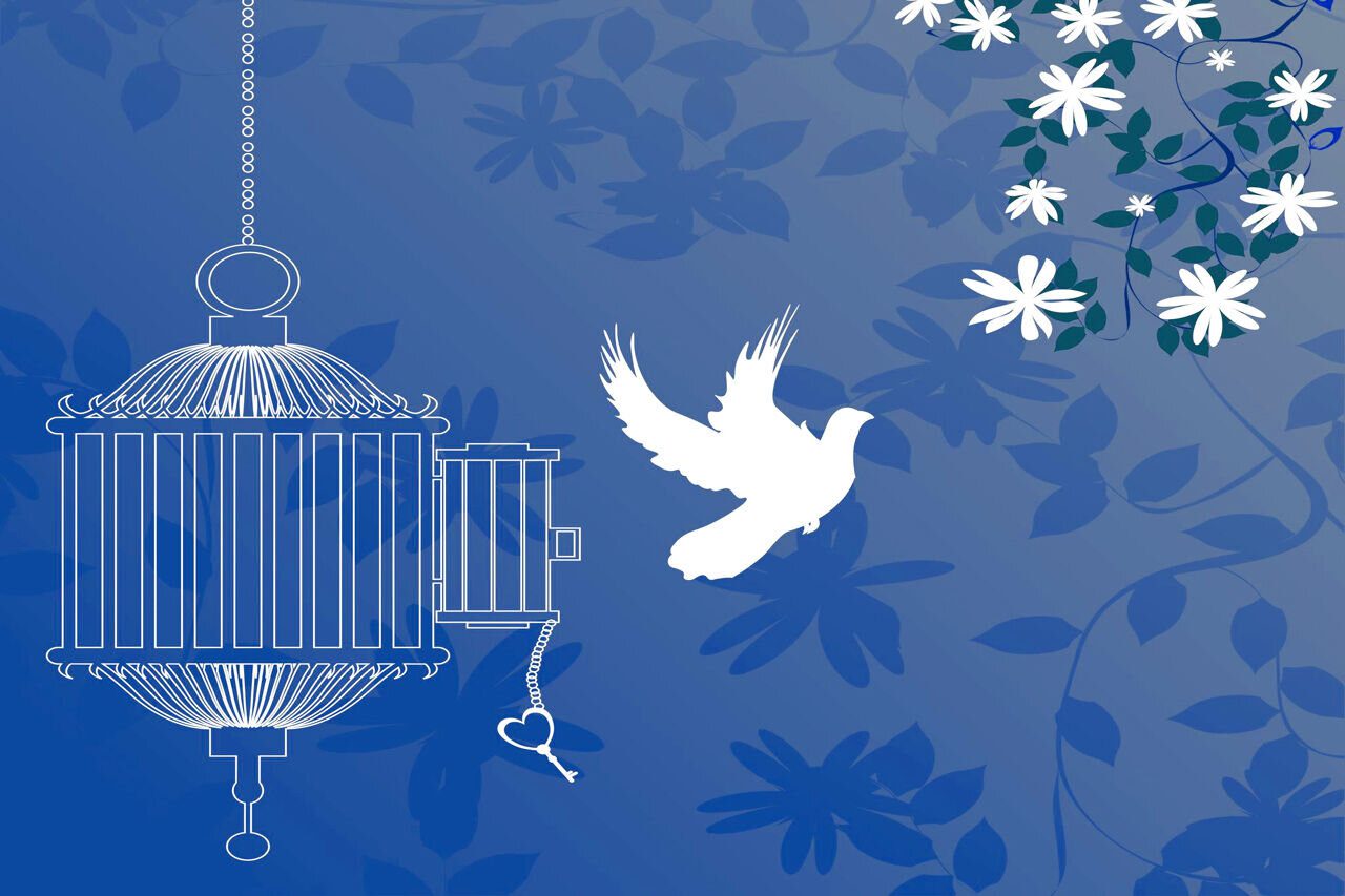 آزادی-تمامی-مادران-زندانی-جرائم-مالی-غیرعمد-تا-سقف-۲۵۰-میلیون-تومان-به-همت-بانک-پارسیان